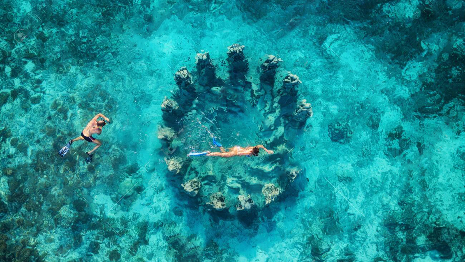 Swimming in Gili island sea. Gili trawangan traveller, Trawangan night market, snorkel dive gili trawangan, eco travel gili trawangan, How to go gili trawangan. CarbonEthics Indonesia