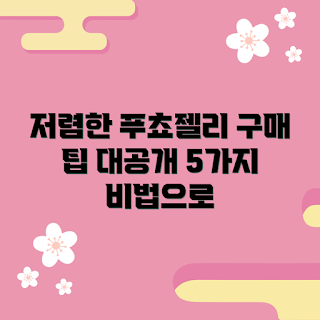 푸쵸젤리 가격, 저렴한 푸쵸젤리, 푸쵸젤리 구매 팁, 푸쵸젤리 할인, 푸쵸젤리 추천