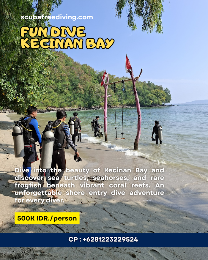 Fun Dive Kecinan