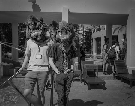 furdu-7.jpg