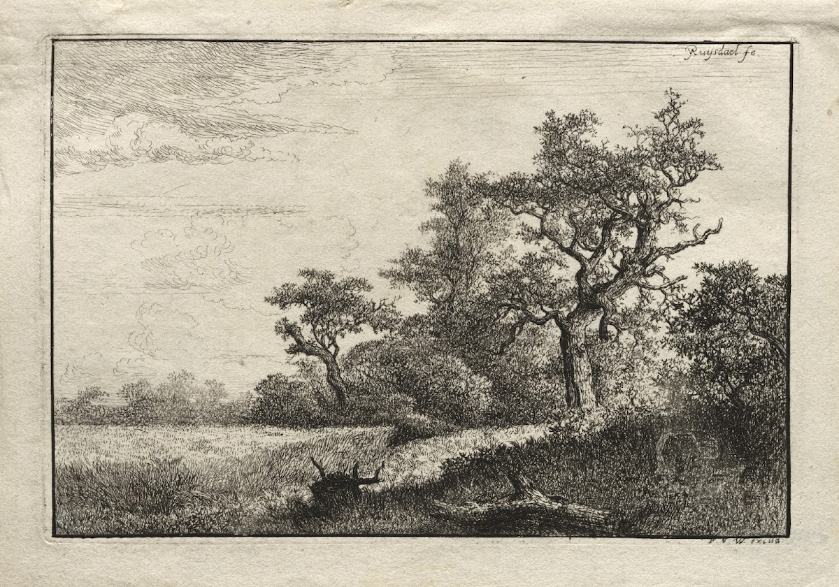 The Wheat Field 1648