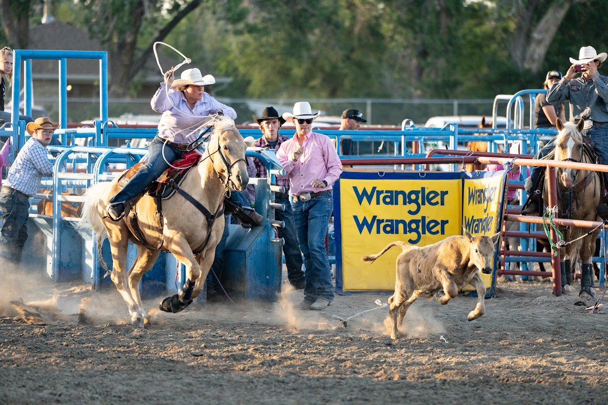 Brush Rodeo action