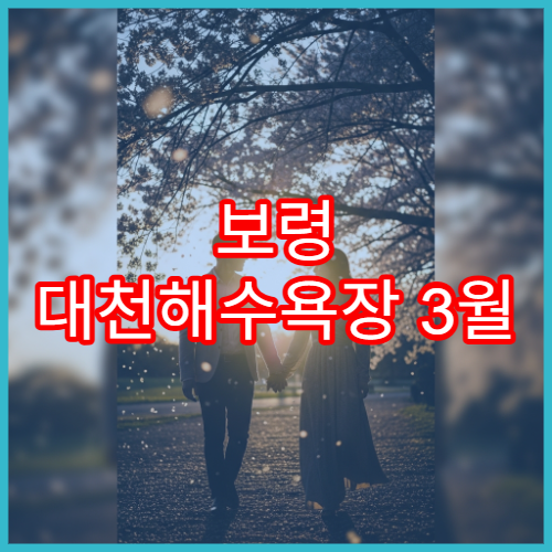 보령 대천해수욕장 3월 벚꽃·바다 드라이브