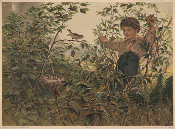 Boy and birds nest 1880