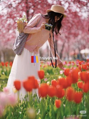 Chiếc Váy Cưới Bị Bỏ Quên