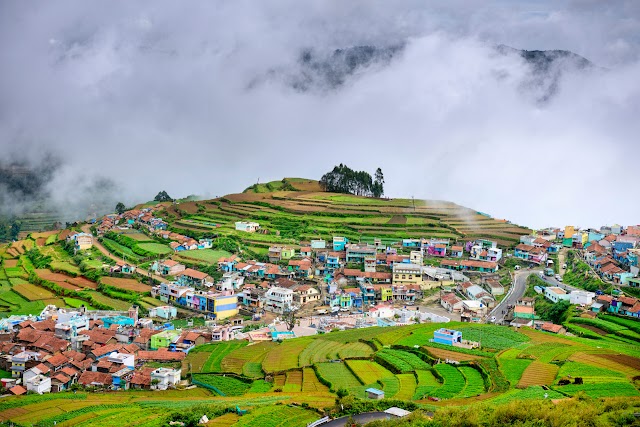 317|OOTY | KODAIKANAL