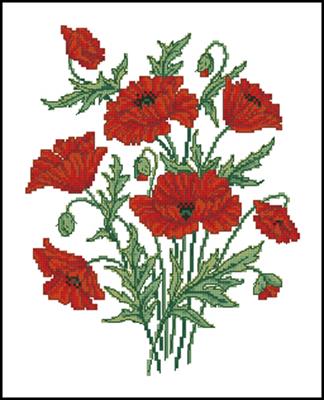 CMP 171598 Pattern