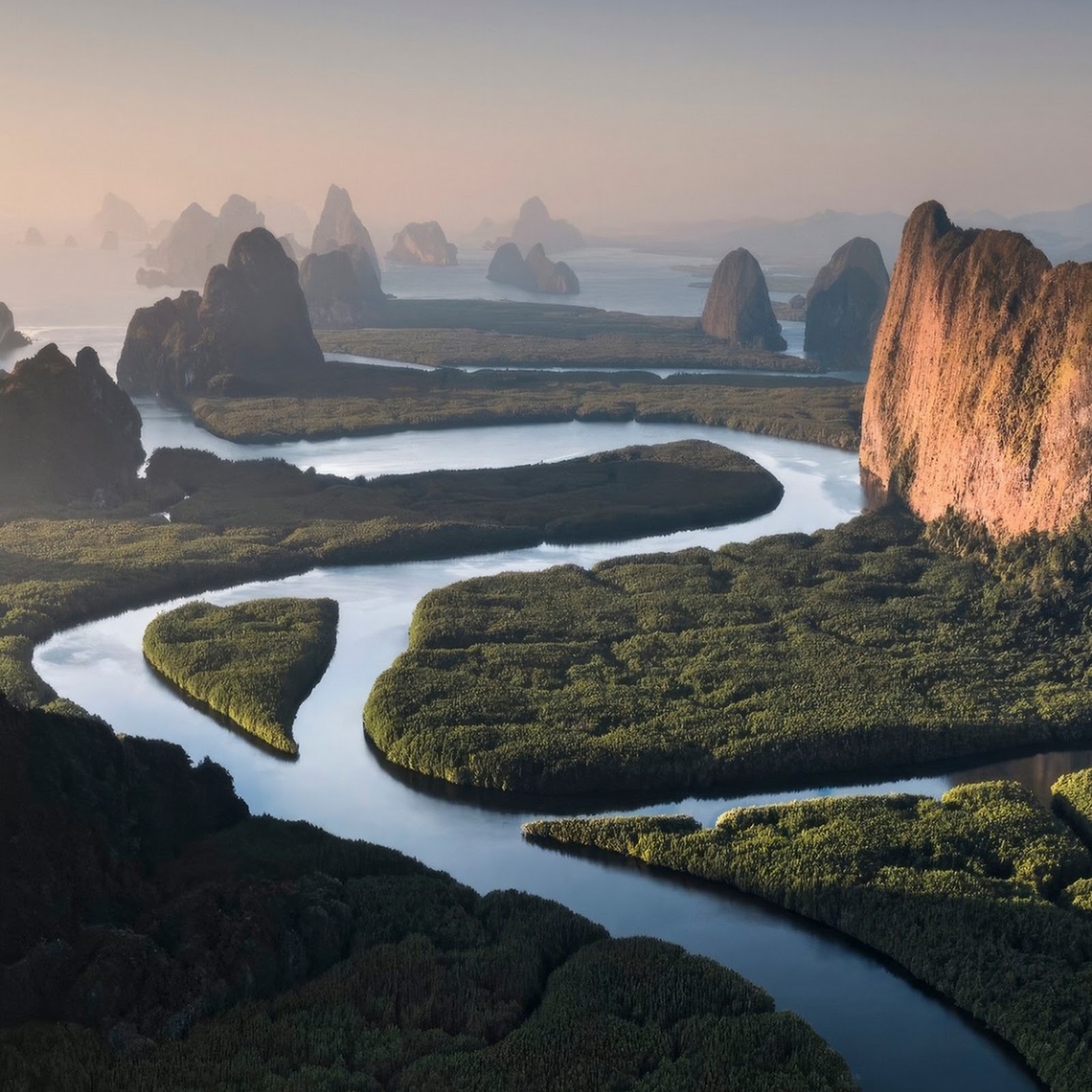 Download Winding River Through Green Mangroves iPhone