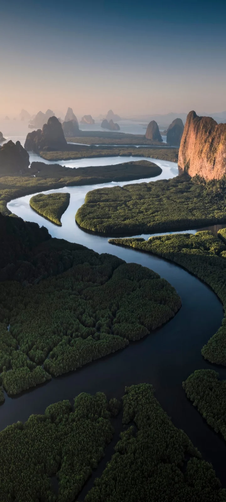 Winding River Through Green Mangroves - Aerial Landscape Photography iPhone Wallpaper (1032x2293)