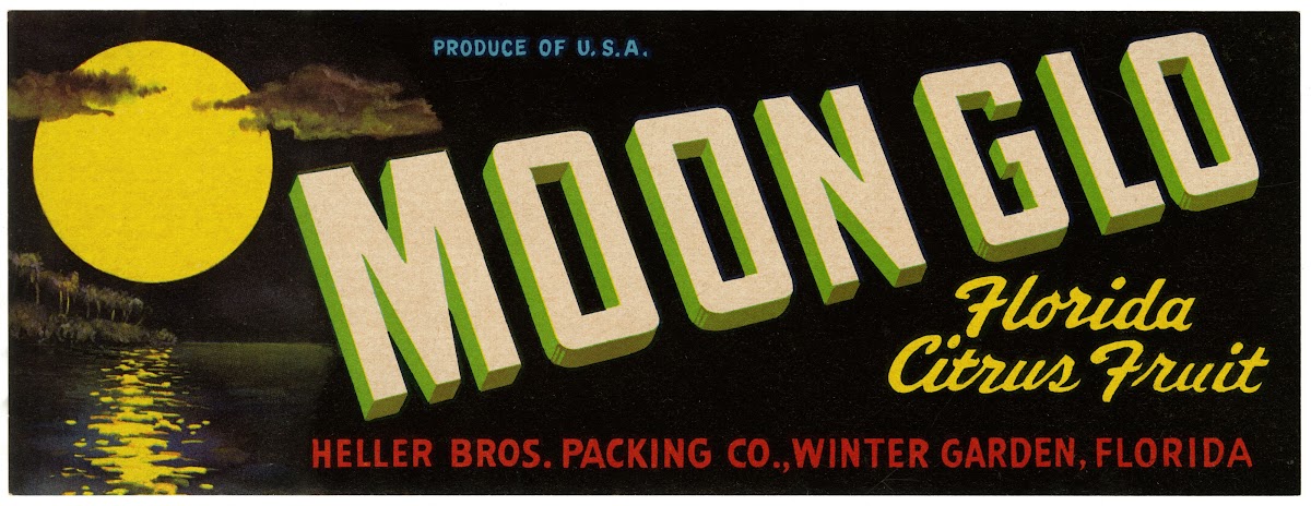 Moon Glo Florida Citrus Fruit Label 1930 1950