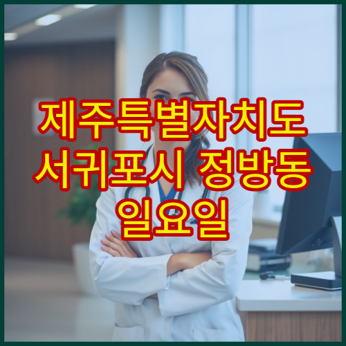 제주특별자치도 서귀포시 정방동 일요일 당직약국 영업시간 위치