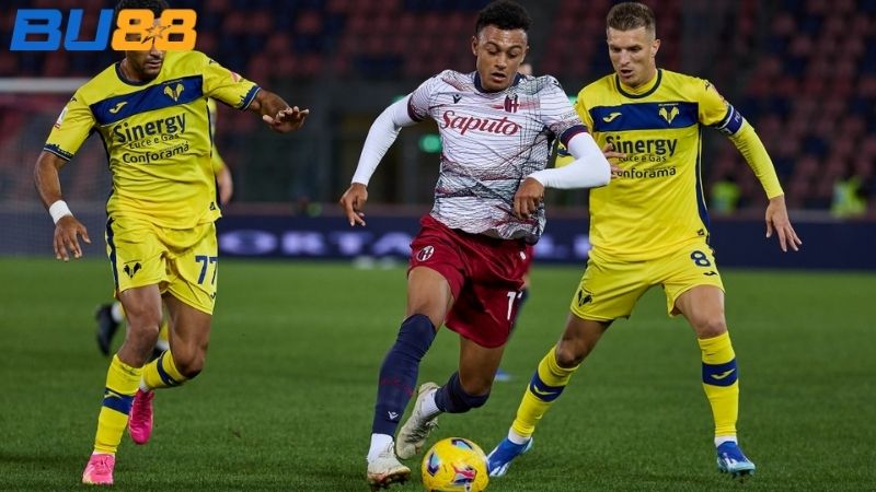 Lịch sử đối đầu giữa hai đội Verona vs Bologna