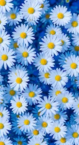 White Daisies Field Blue Background Vertical Floral Pattern