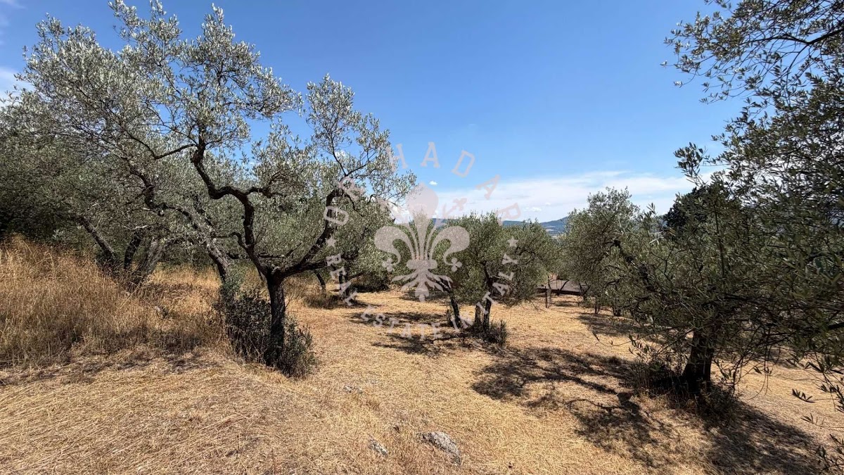 וילה איל פרוג'ינו (Villa il Perugino) — 21