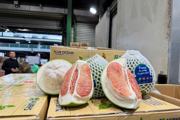 Thông quan lô bưởi tươi đầu tiên của Việt Nam vào Australia - Báo Pháp Luật TP.HCM