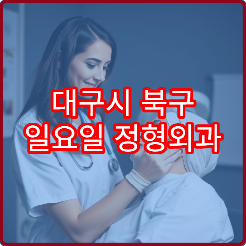 대구시 북구 일요일 정형외과 진료 가능한 병원 최신 정보