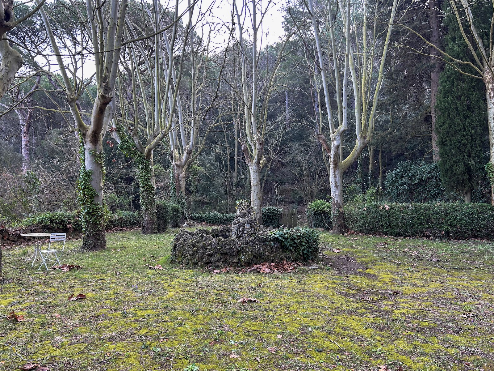 Gardens at Font de l'Oca — 5 hectares of ancient woodland, retreat near Poblet Monastery Catalonia