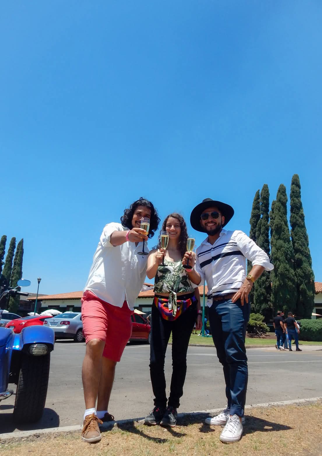 Viñedos de Querétaro - Foto 1