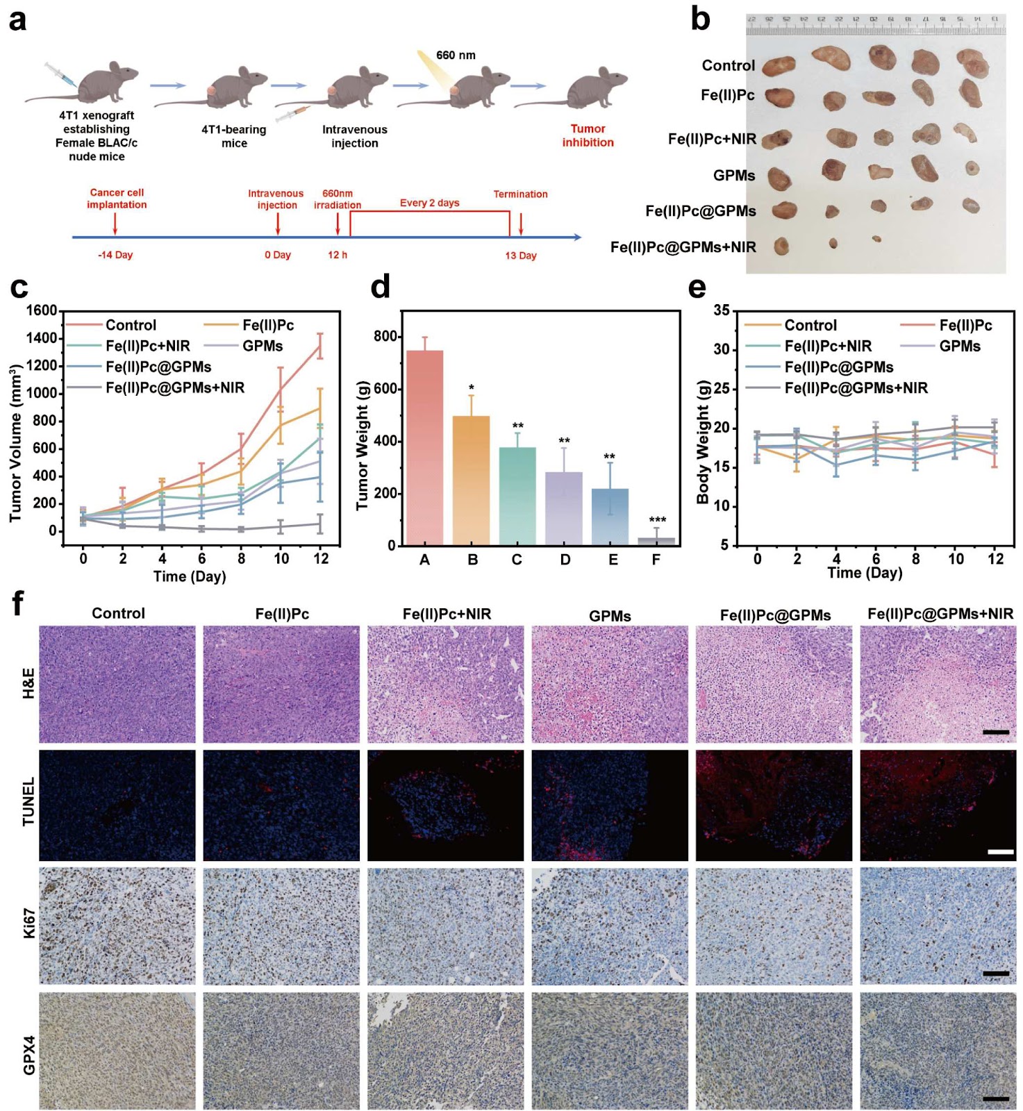 Dual-Locked SO2/Nanozyme Delivery Nanoplatform for Programmed Synergistic Gas/Chemodynamic Anticancer Therapy