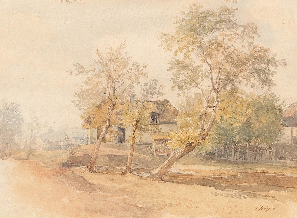 A group of trees near a farmhouse