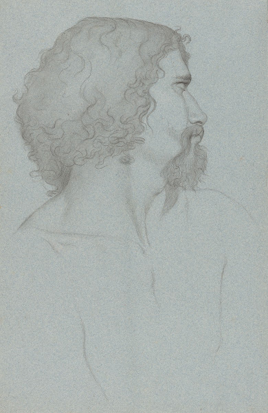 Profile Study of the Model Mastrillo 1836