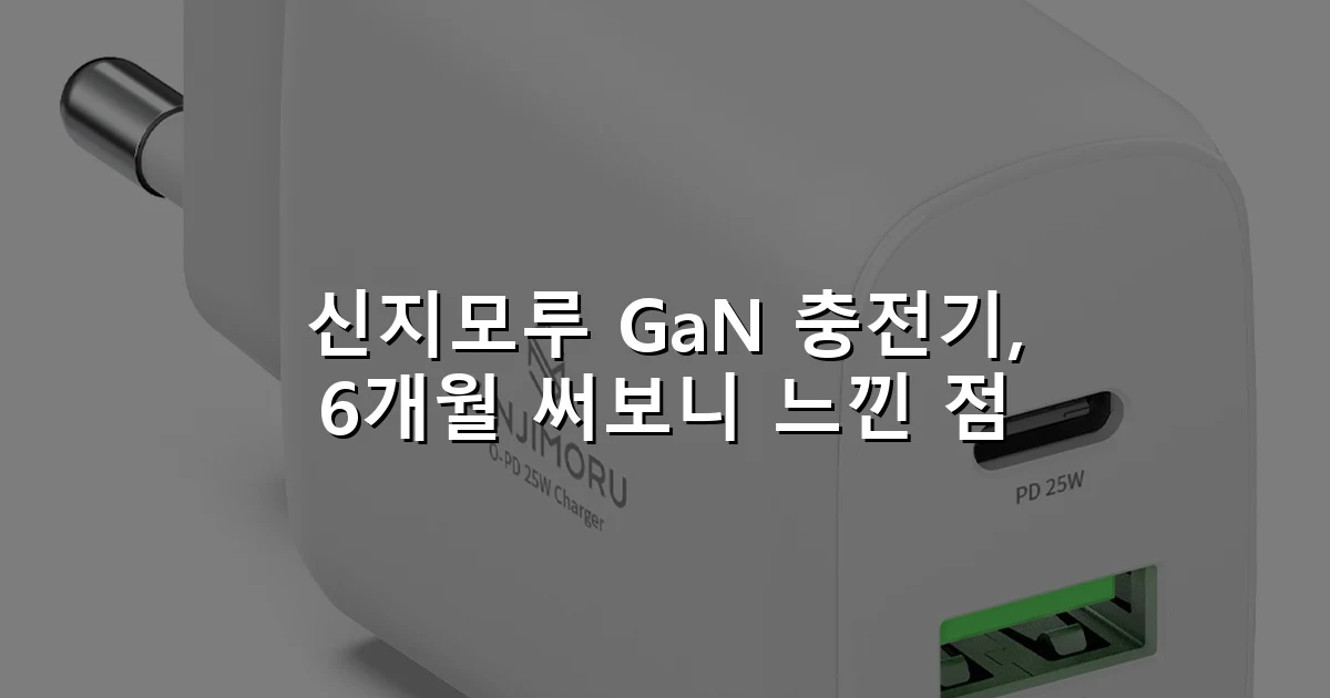 신지모루 GaN 충전기, 6개월 써보니 느낀 점