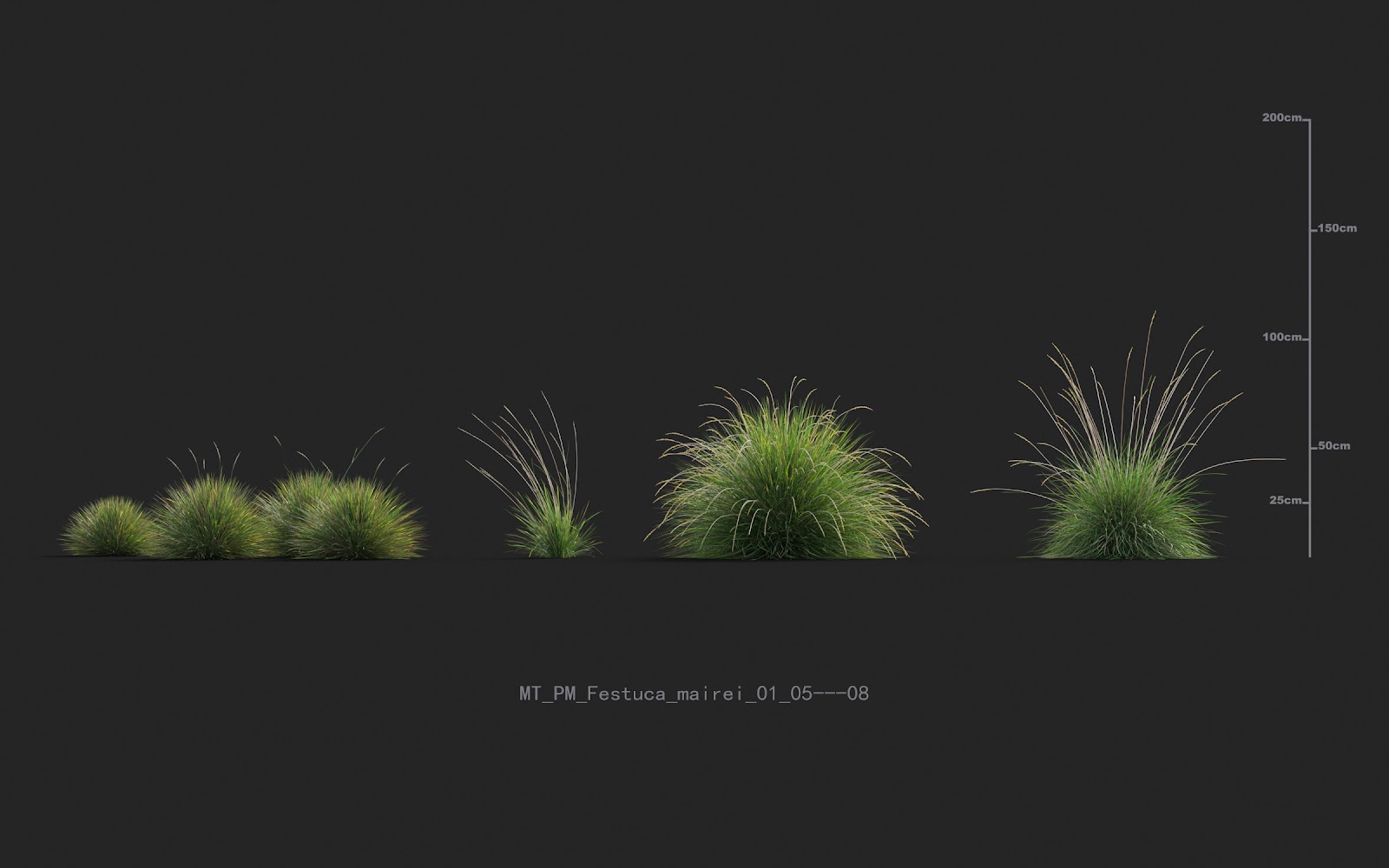 Maxtree - Plant Models Vol.20