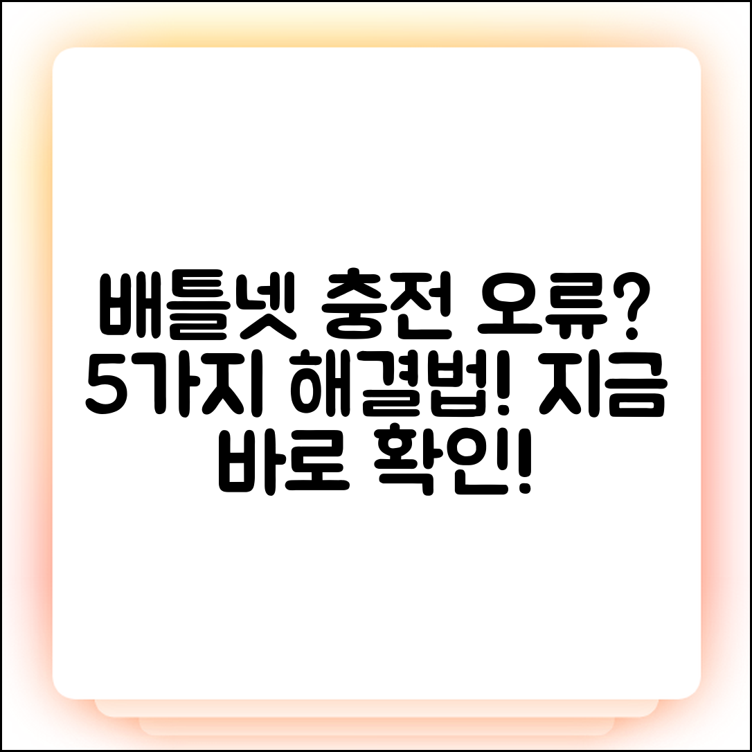 배틀넷 잔액 충전 안됨? 5가지 원인 & 해결책!