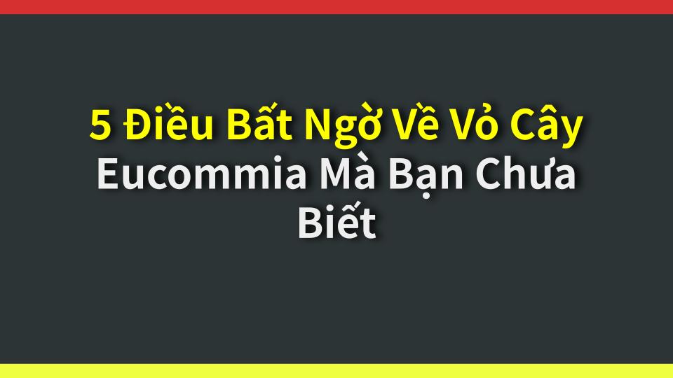 5 Điều Bất Ngờ Về Vỏ Cây Eucommia Mà Bạn Chưa Biết