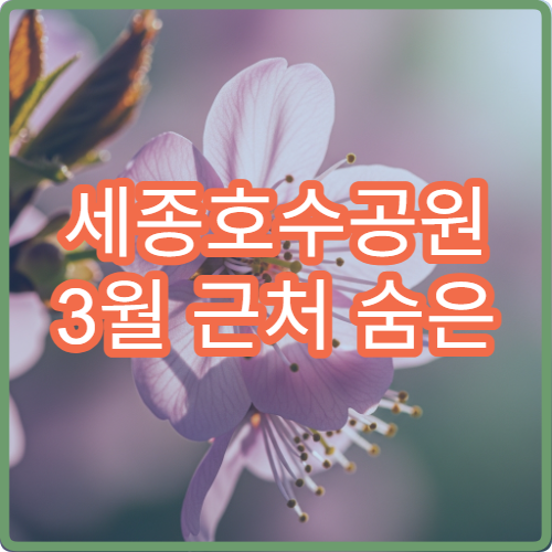 세종호수공원 3월 근처 숨은 디저트 카페 테이크아웃