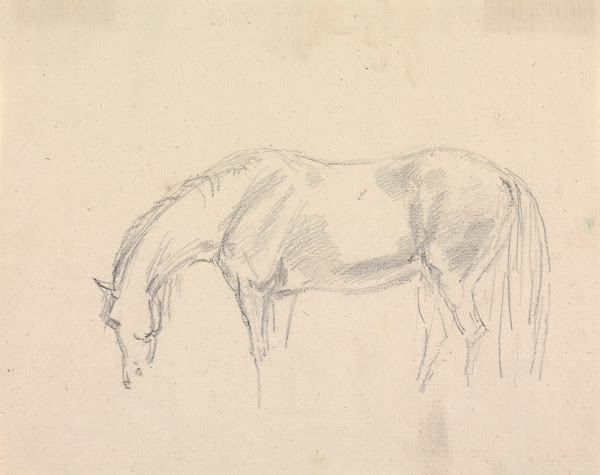 A Horse Grazing