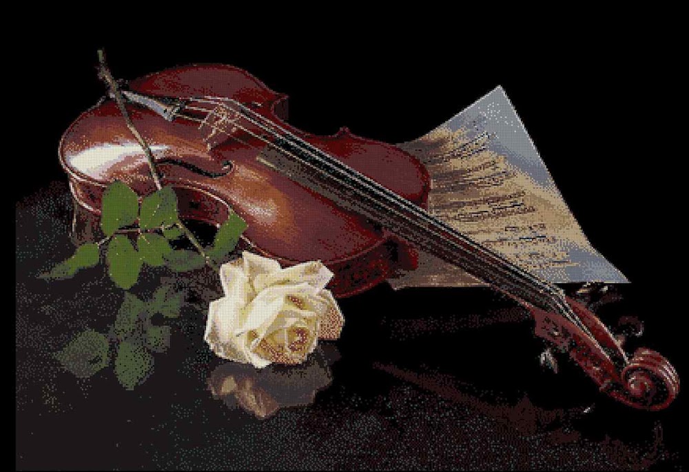 CMP 170233 Violin And White Rose