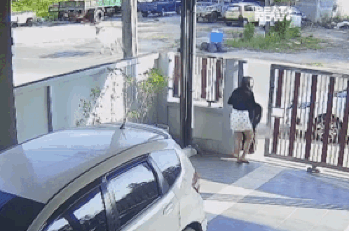 Cô gái xinh đẹp vừa ra cổng liền gặp cảnh 'khó đỡ' lập tức quay ngược vào nhà - Tạp chí SaoStar