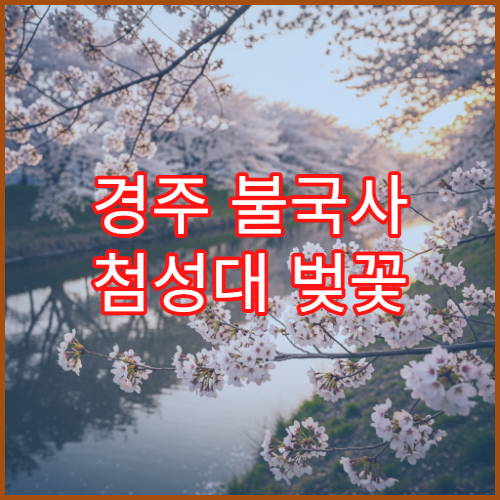 경주 불국사 첨성대 벚꽃 드라이브 주차 피하는 루트 초보 추천