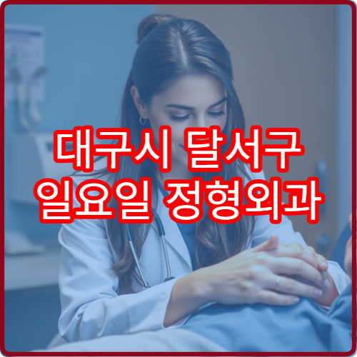 대구시 달서구 일요일 정형외과 진료 가능한 병원 최신 안내