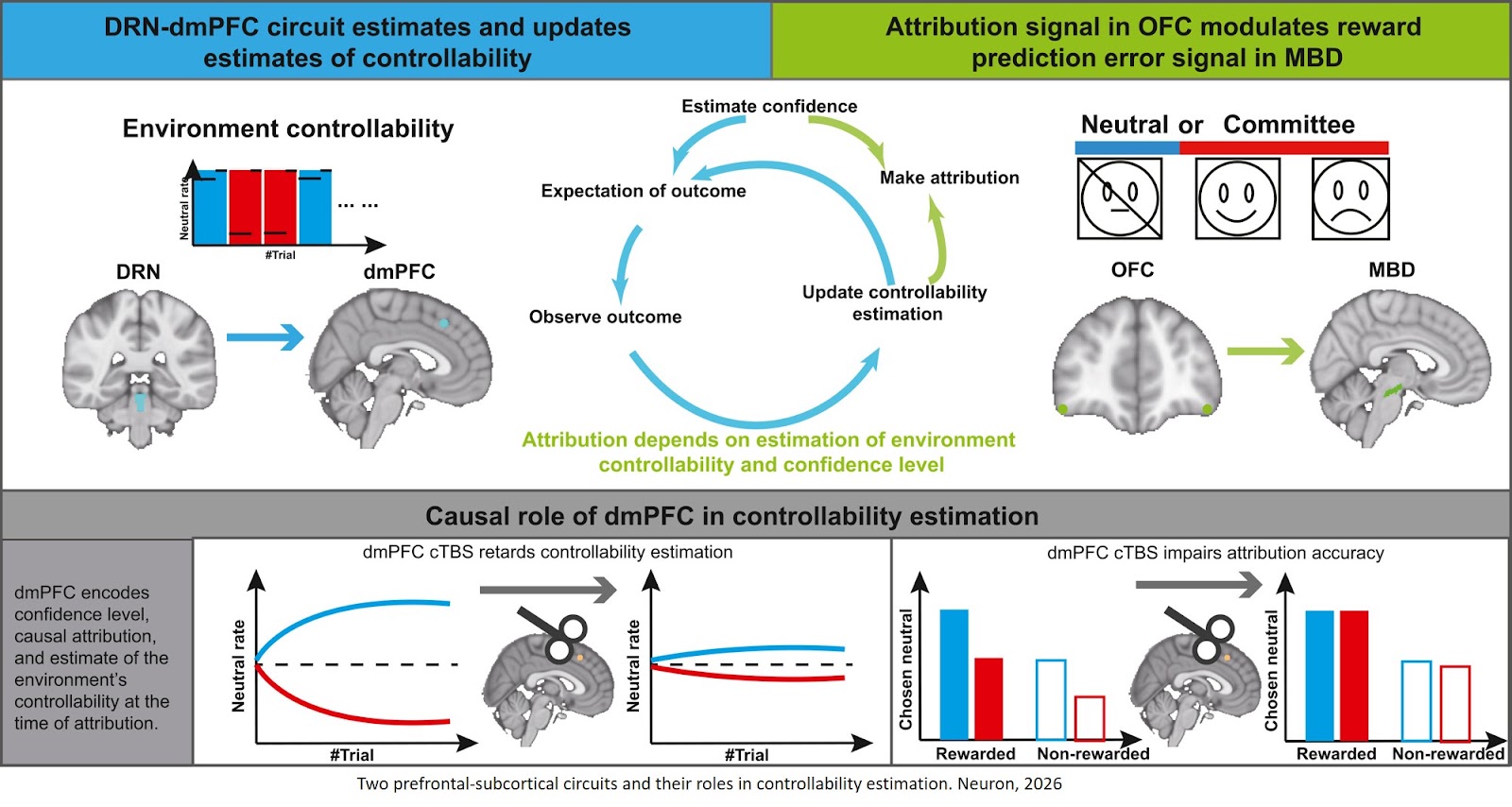 Two prefrontal-subcortical circuits estimate controllability and reflect its impact on learning