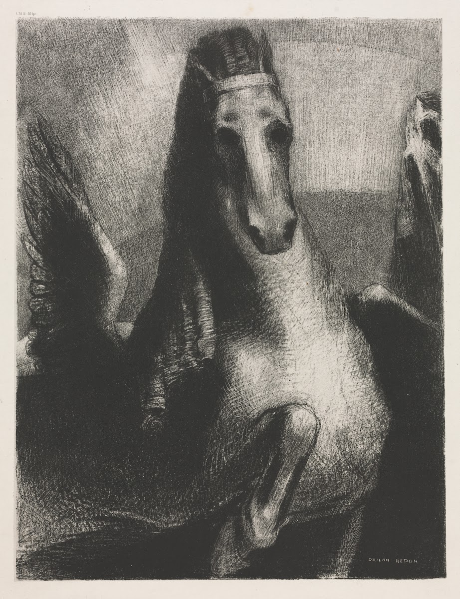 The Wing 1893