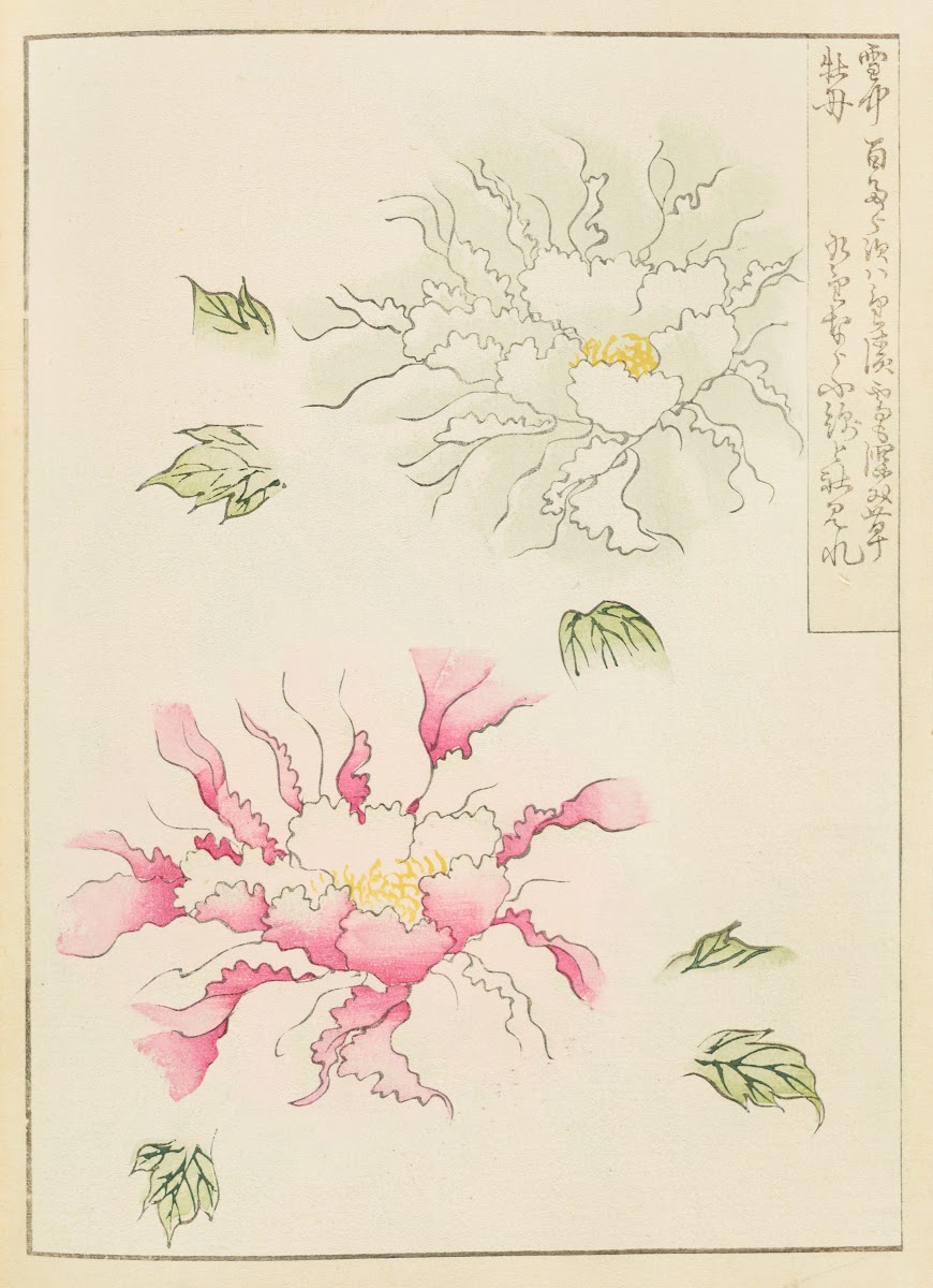 Shin Bijutsukai Pl012 1901 1902