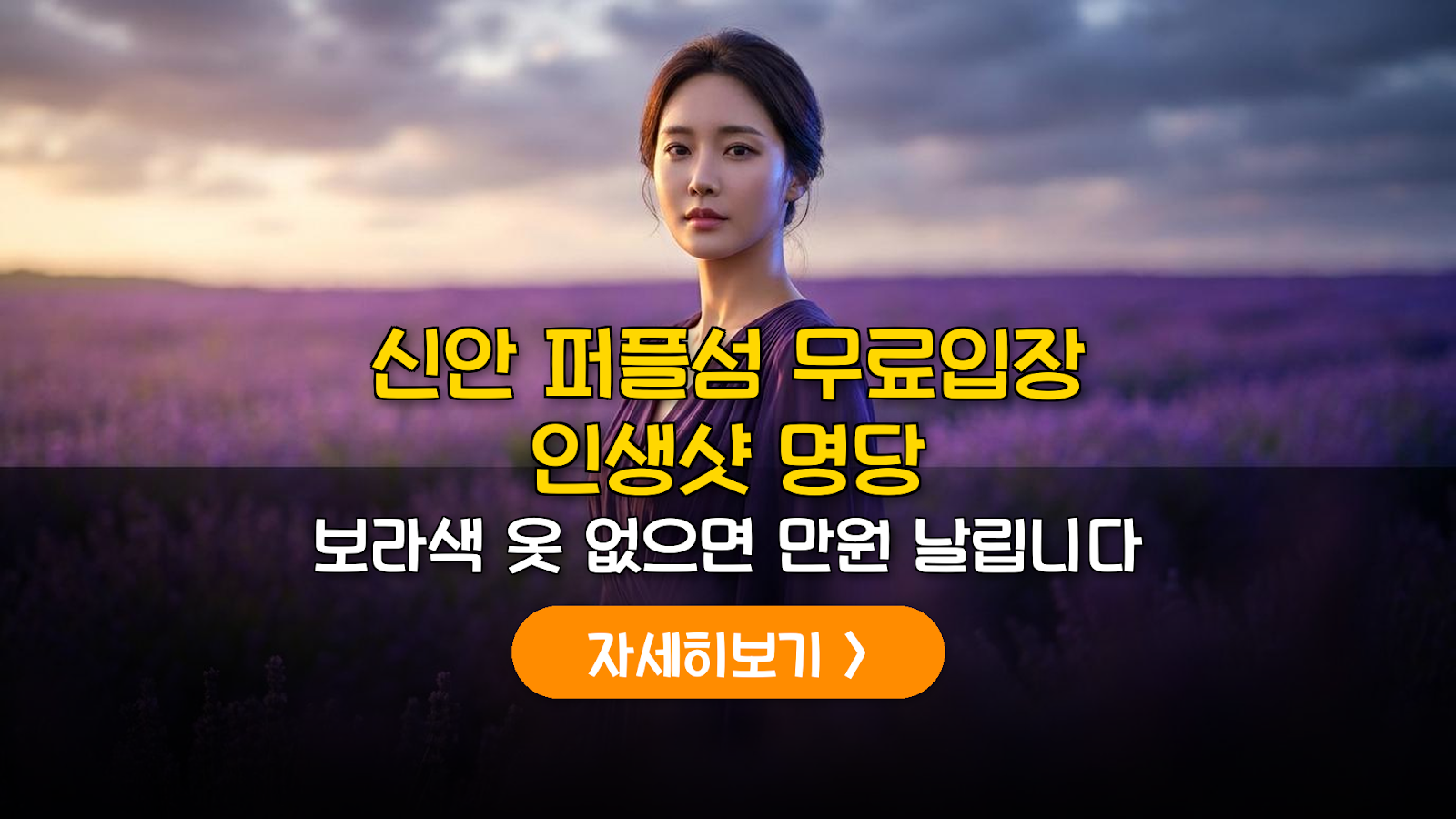 2026 신안 퍼플섬 라벤더 축제 무료입장 가이드