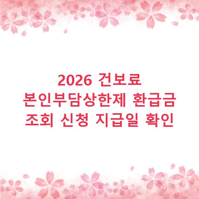2026 건보료 본인부담상한제 환급금 조회 신청 지급일 확인
