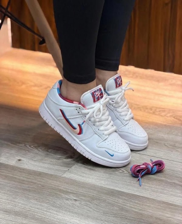 Nike SB Dunk Parra 2