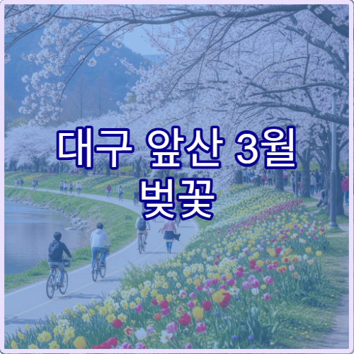 대구 앞산 3월 벚꽃 캠핑 차박 즐기기 좋은 스팟 위치와 예약 팁