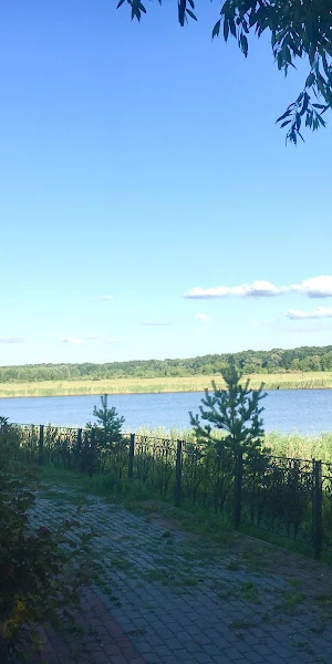 Lakeside, Summer, Nature, Landscape 4K Wallpaper Background