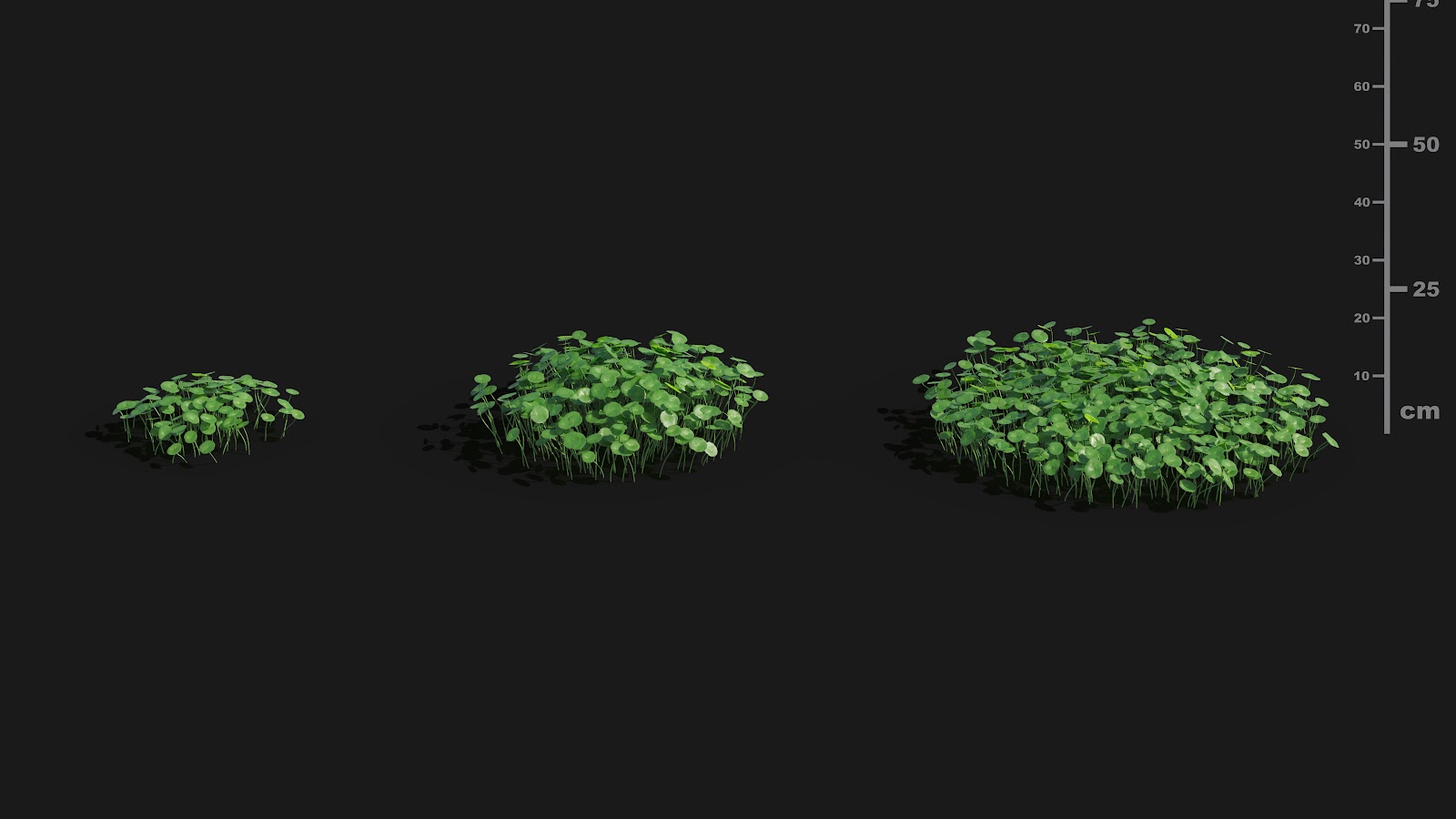 Maxtree - Plant Models Vol.29