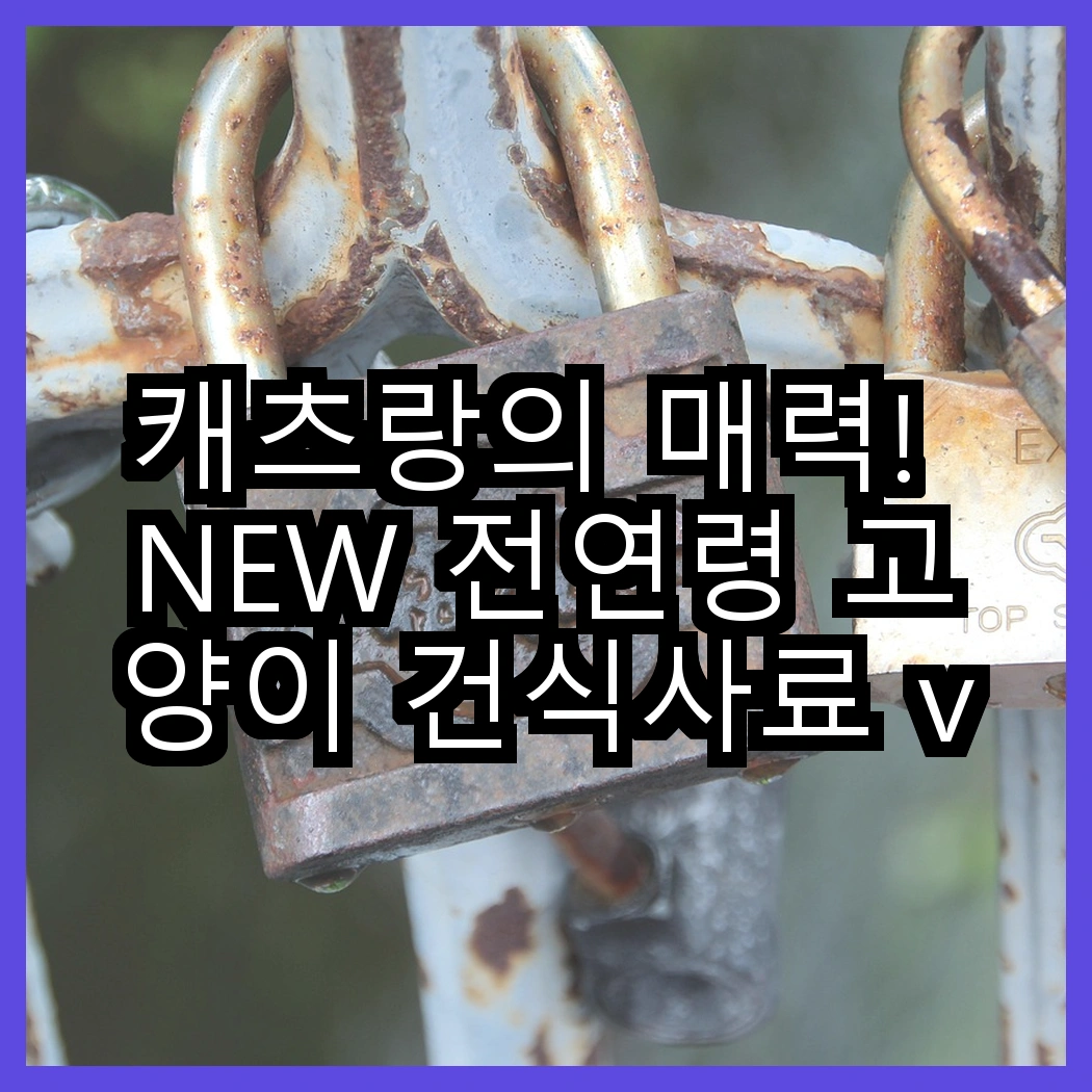 캐츠랑의 매력! NEW 전연령 고양이 건식사료 vs 비타플러스 건식사료, 어떤 선택이 더 좋을까? 썸네일