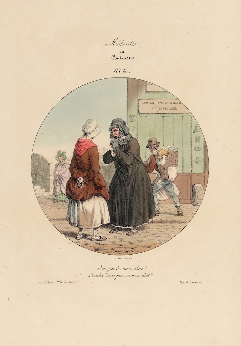 Jai perdu mon chat  1829