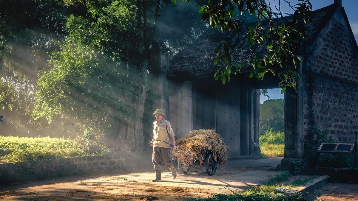 교통비 할인 카드 비교, 최적 조합 방법과 조건
