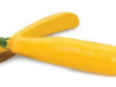 Zucchini, Yello