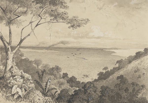 View from Laventille Hill 1857