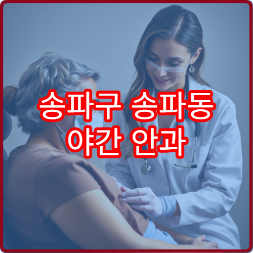 송파구 송파동 야간 안과 진료 가능한 병원 눈 검사 야간 운영
